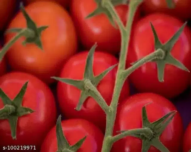 Gardens Large Cherry Tomato Vegetable Seeds, Pack of 50