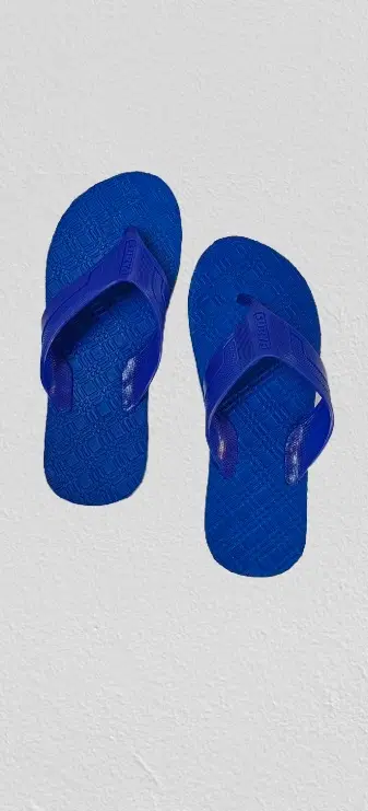 Flipflops for Men (Blue, 4)