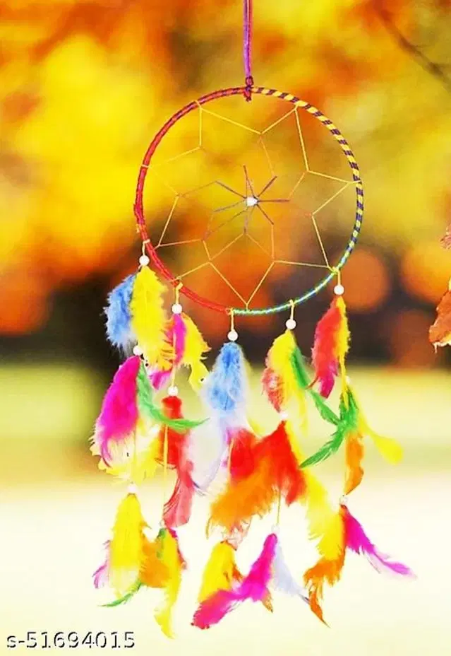 Feather Wall Hanging Dream Catcher, Multicolor