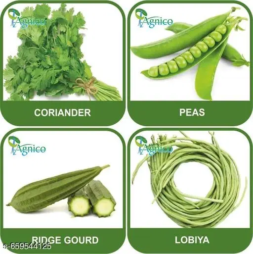 4 Vegetable Seeds Combo With Instruction Manual(Coriander/Peas/Ridge Gourd/Lobiya)