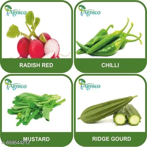 4 Vegetable Seeds Combo With Instruction Manual(Radish Red/Chilli/Mustard/Ridge Gourd)