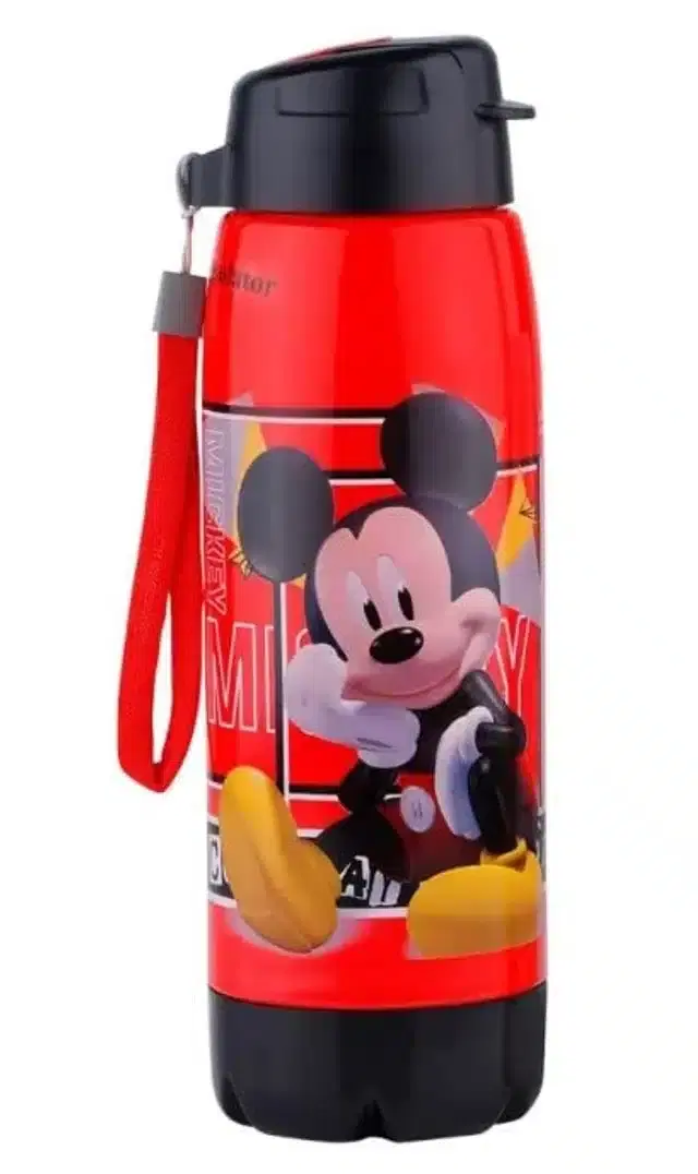Insulated inner Steel Leak Proof Water Bottle for Kids, Multicolor, 550 ml