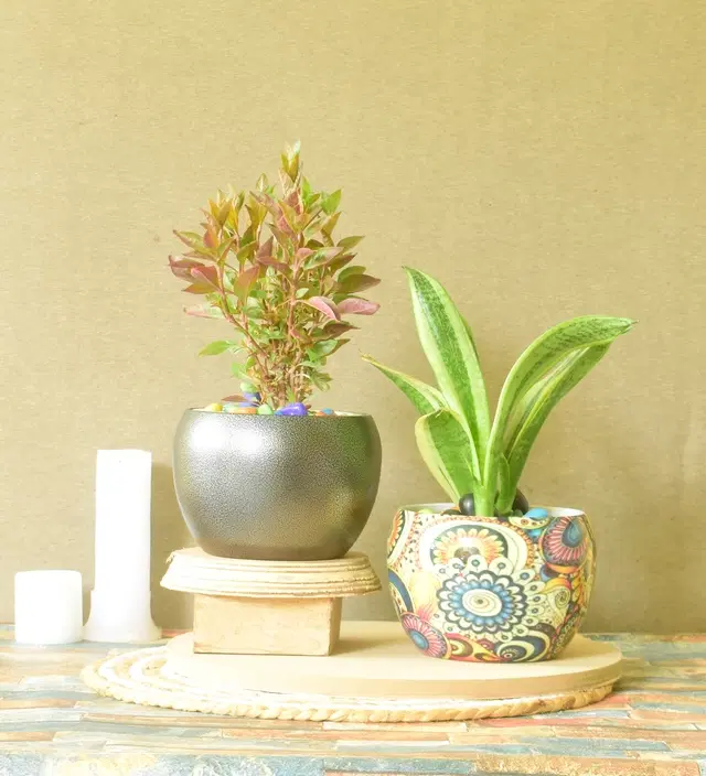 Metal Planter for Home, Multicolor, Pack of 2