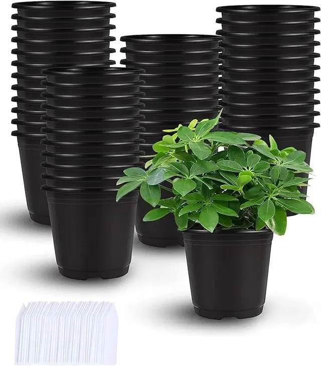 Plastic Plant Container, Black, Pack of 20