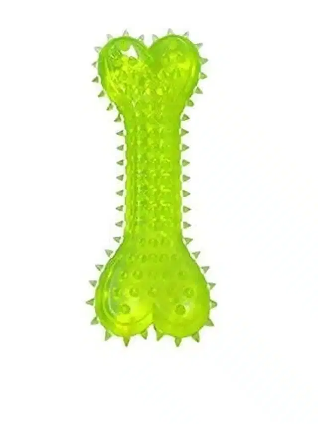 Spike Bone for Pet, Multicolor
