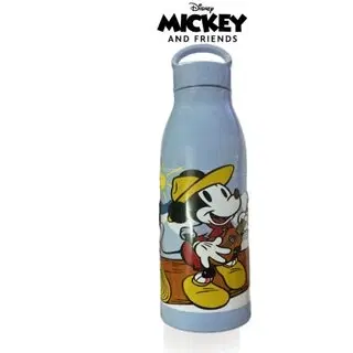 Stainless Steel Printed Water Bottle, Multicolor, 800 ml