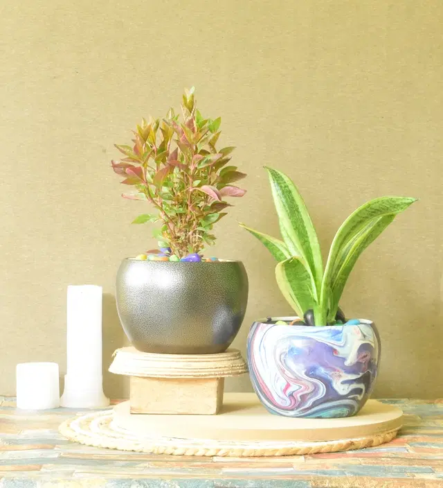 Metal Planter for Home, Multicolor, Pack of 2