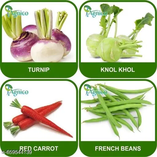 4 Vegetable Seeds Combo With Instruction Manual(Turnip/French Beans/Knol Khol/Red Carrot)