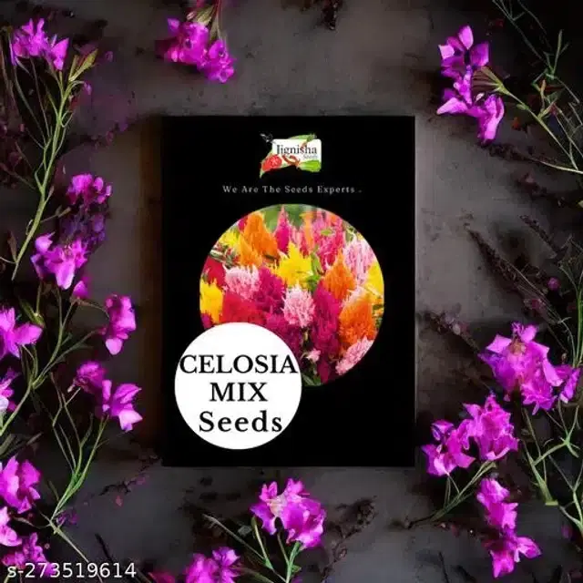 Celosia Mix Hybrid Flower Seeds, Pack of 30