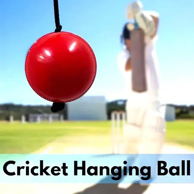 Red PVC Practice Hanging Cricket Ball Standard Size, Pack of 1