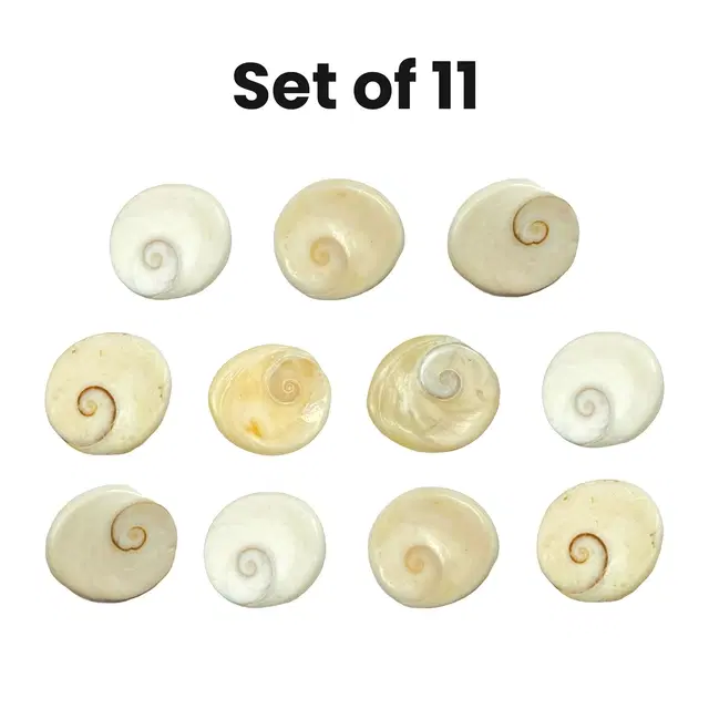 Mangal Bhavan Puja Gomti Chakra Set, 11 pcs