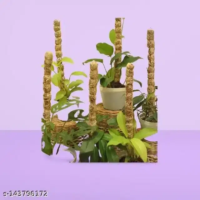 Wooden Moss Stick, Brown, 3 feet