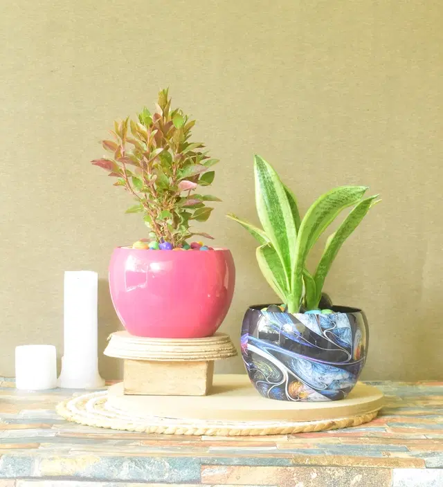 Metal Planter for Home, Multicolor, Pack of 2