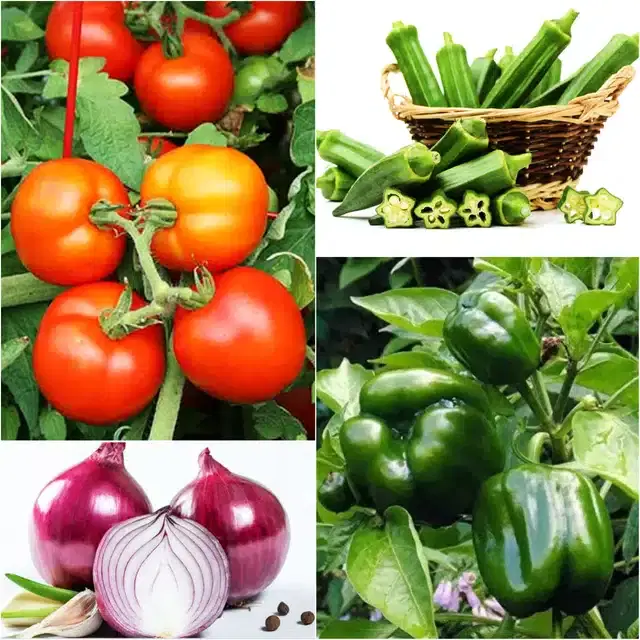 4 Variety of Vegetable Seeds, Combo of 4