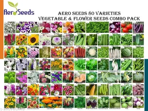 Aero Seeds 80 variety (40 flower and 40 vegetable) seeds combo pack with instruction manual.