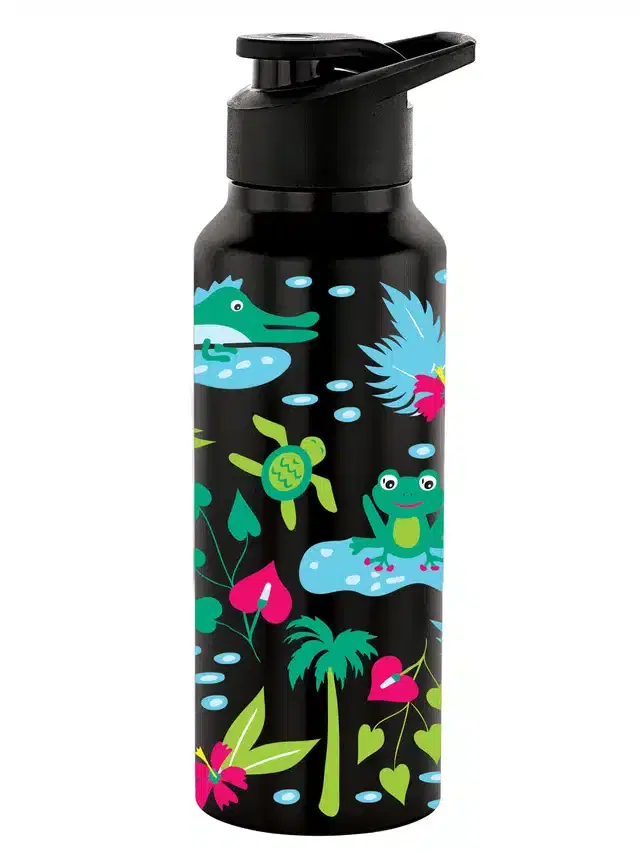 Stainless Steel Insulated Single Wall Water Bottle, Black, 750 ml