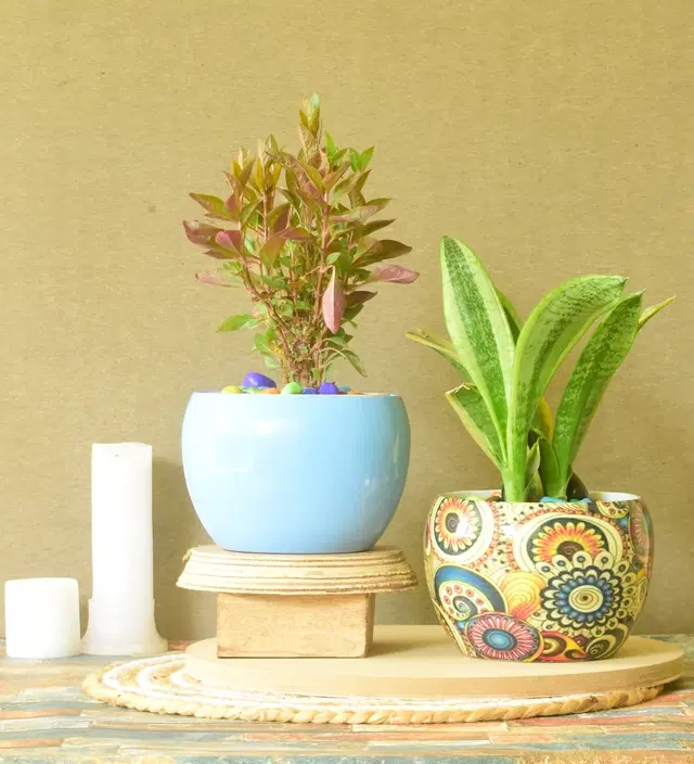 Metal Planter for Home, Multicolor, Pack of 2