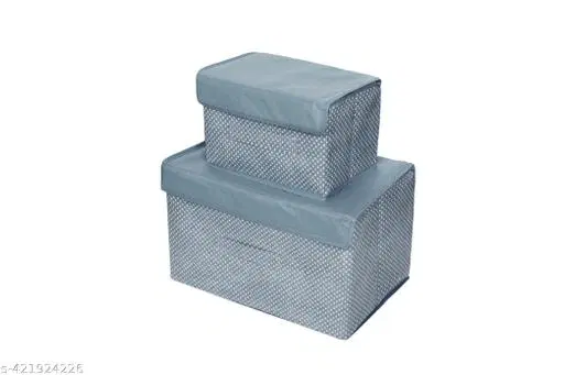 Cloth Clothes Cover,  (Blue),  (Pack Of 2)