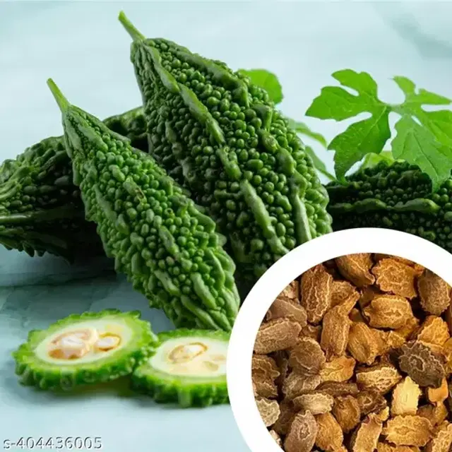 Bitter Gourd 30 Pcs Seeds for Home Garden, Set of 1