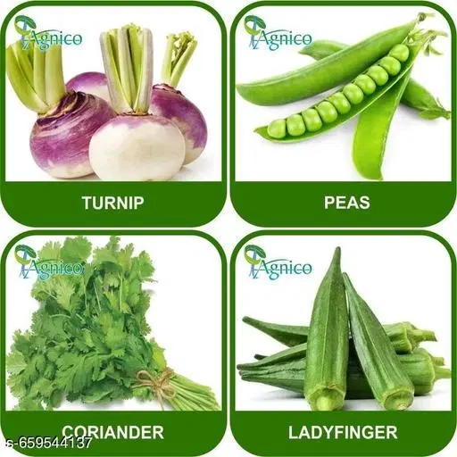 4 Vegetable Seeds Combo With Instruction Manual(Turnip/Lady Finger/Peas/Coriander)