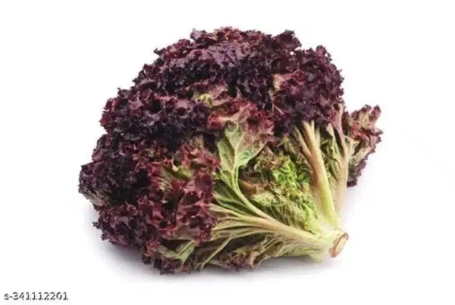 Red Leaf Lettuce Vegetable Seeds, Pack of 50