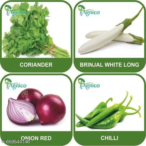 4 Vegetable Seeds Combo With Instruction Manual(Coriander/Brinjal White Long/Onion Red/Chilli)