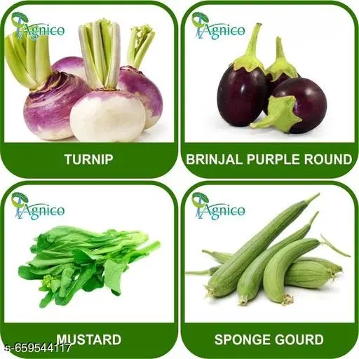 4 Vegetable Seeds Combo With Instruction Manual(Turnip/Mustard/Sponge Gourd/Brinjal Purple Round)