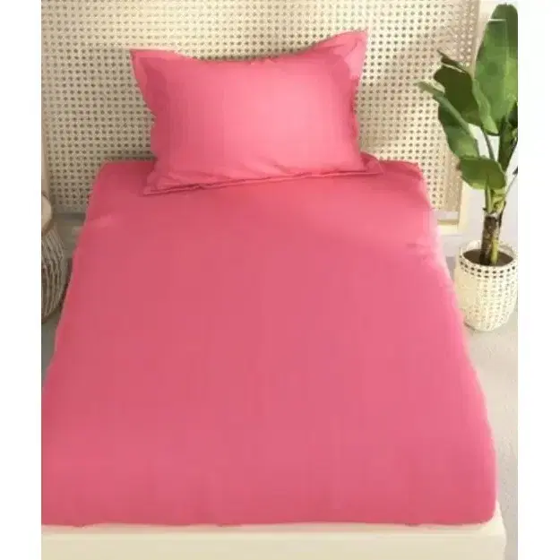 Bianca Hilton Single Bedsheet 130gsm Bed2978s-a