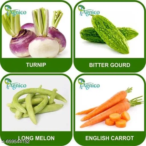 4 Vegetable Seeds Combo With Instruction Manual(Turnip/Bitter Gourd/Long Melon/English Carrot)