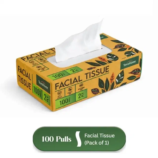 TerraHome Facial Tissue Box, 2 Ply, 100 Pulls