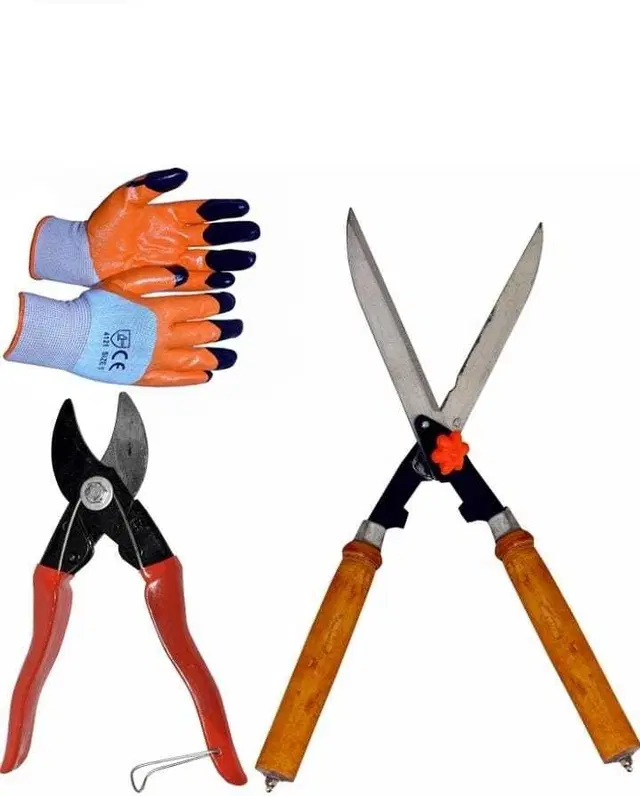 Gardening Tools Set, Multicolor, Set of 3