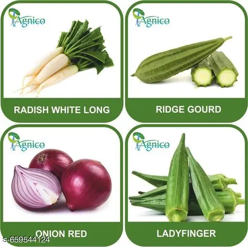 4 Vegetable Seeds Combo With Instruction Manual(Radish White Long/Ridge Gourd/Onion Red/Lady Finger)