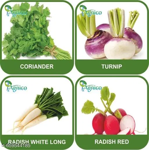4 Vegetable Seeds Combo With Instruction Manual(Coriander/Turnip/Radish White Long/Radish Red)