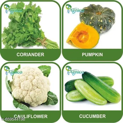 4 Vegetable Seeds Combo With Instruction Manual(Coriander/Pumpkin/Cauliflower/Cucumber)