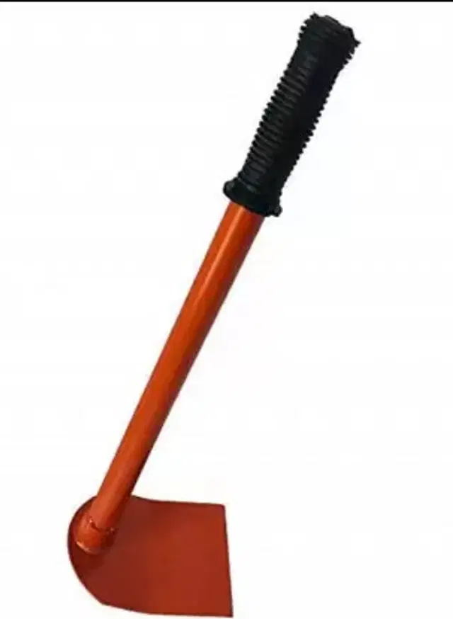 Home Gardening Kundli, Orange