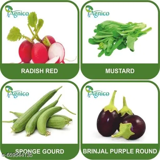 4 Vegetable Seeds Combo With Instruction Manual(Radish Red/Mustard/Sponge Gourd/Brinjal Purple Round)