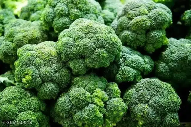 Green Broccoli Exotic Hybrid Vegetable Seeds, Pack of 100