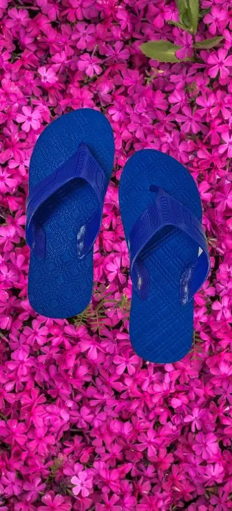 Flipflops for Men (Blue, 5)