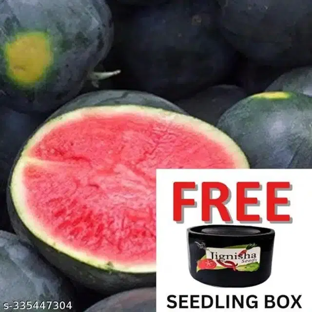 Watermelon Dark Red Sugar Palm Seeds, Pack of 10