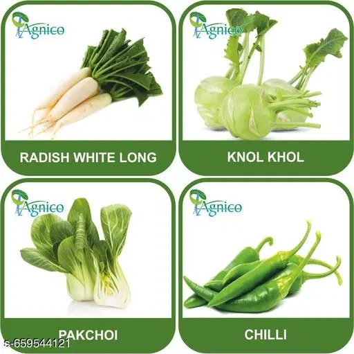4 Vegetable Seeds Combo With Instruction Manual(Radish White Long/Knol Khol/Pakchoi/Chilli)