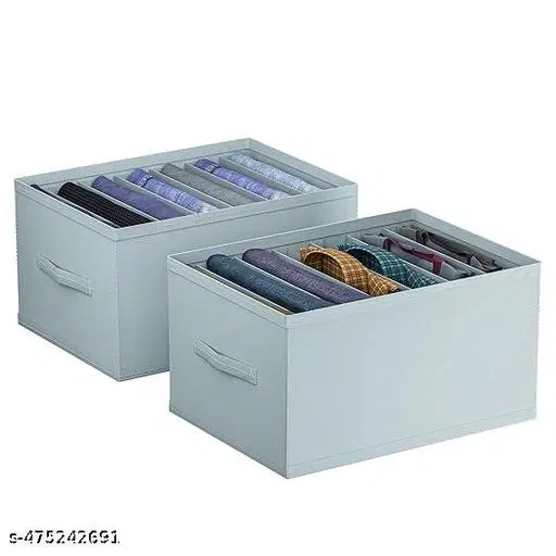 Non-woven Clothes Cover,  (Black),  (Pack Of 2)