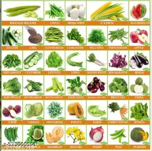 40 Variety Vegetable and Flower Seeds Pack Best Collection for Garden and Home Garden 2250++ Seeds