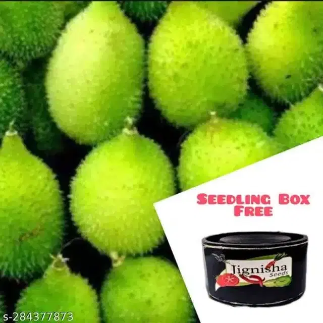 Kantola Hybrid Seeds, Pack of 20