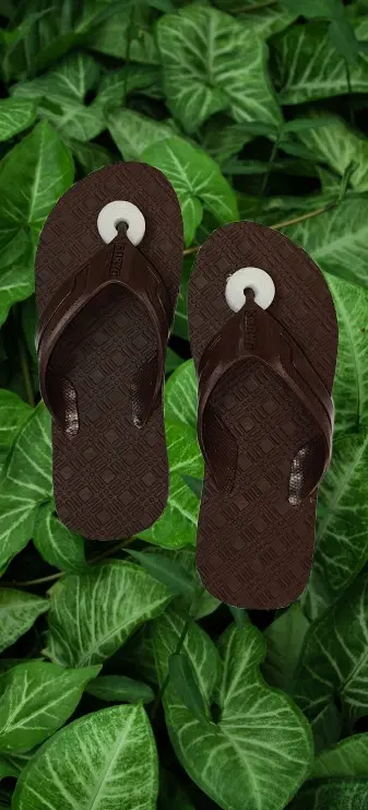 Flipflops for Men (Brown, 9)