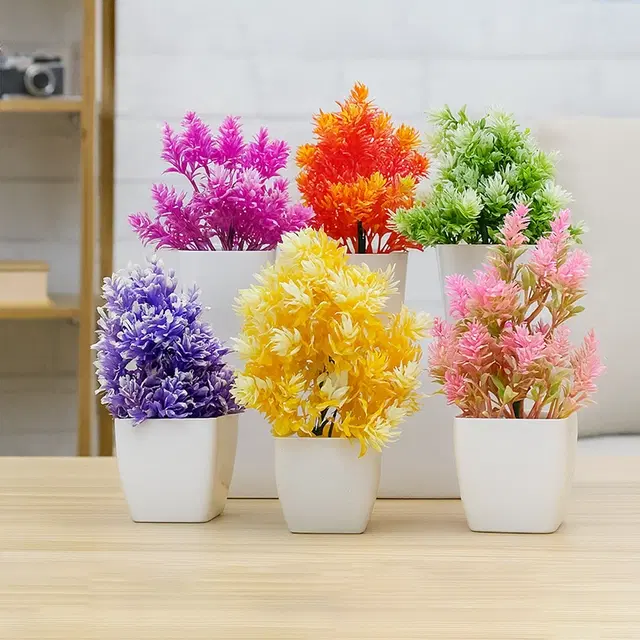 Green Gallery Mini plants Pack of 6