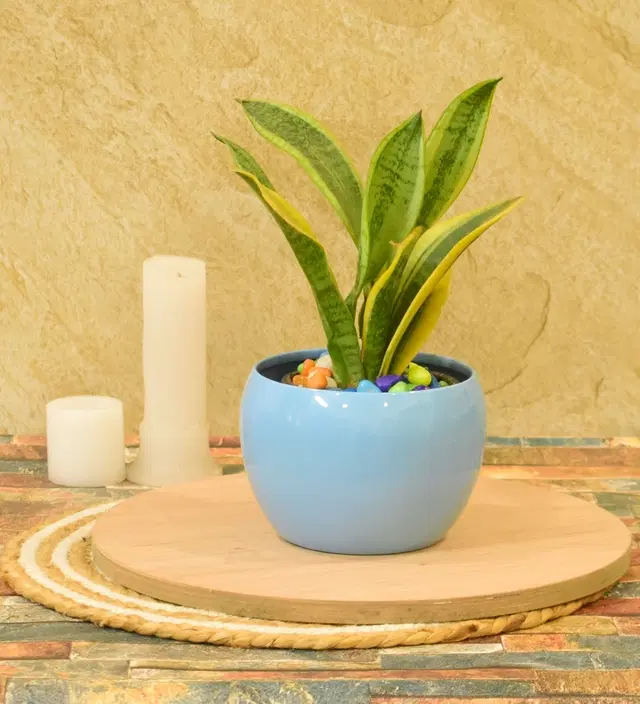 Metal Planter for Home, Multicolor, Pack of 2