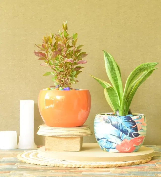 Metal Planter for Home, Multicolor, Pack of 2