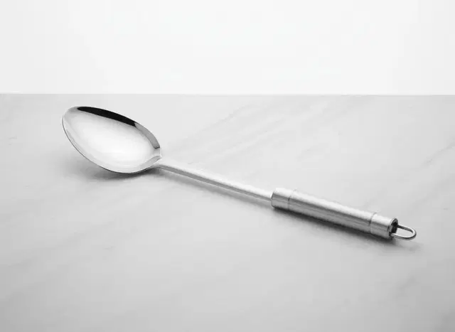 ELEPHANT Steel Serving Ladle, Pack of 1