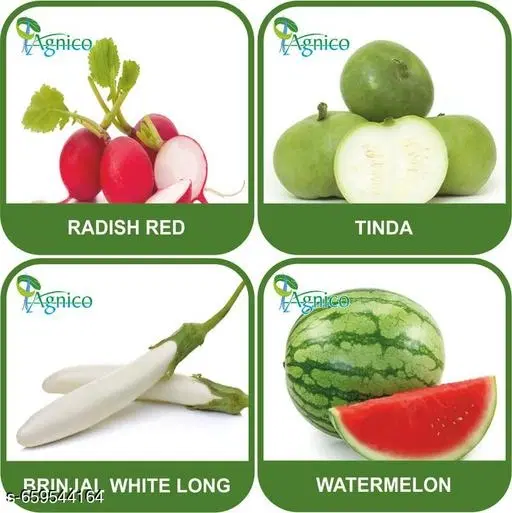 4 Vegetable Seeds Combo With Instruction Manual(Radish Red/Tinda/Brinjal White Long/Watermelon)