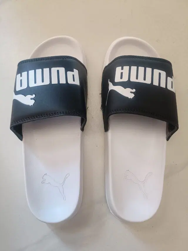 White Synthetic Leather Sliders for Men (White)